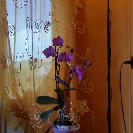 Moretti Отель 2*